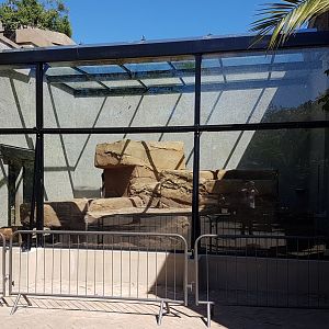 Lion seperation cage