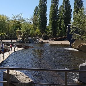 Pathway along Elephant-enclosure