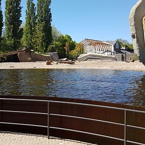 View into the Elephant outdoor enclosure