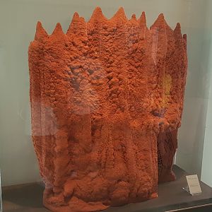 Termite hill