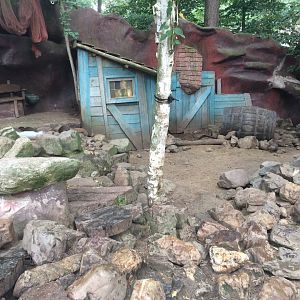 Small-clawed otter exhibit