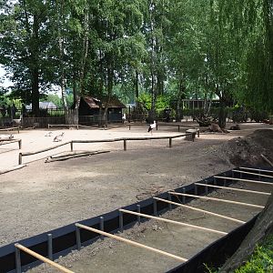 Mixed species paddock with some ongoing construction work, 2019-05-25