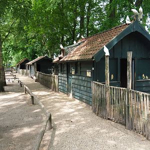 Mixed species paddock - Pathways and animal barns, 2019-05-25
