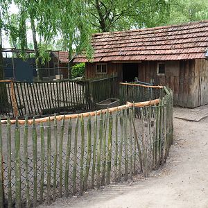 Petting zoo paddock with goats, chickens and crowned cranes - Separation area and barn, 2019-05-25