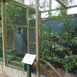 Eurasian kingfisher aviaries, 2019-05-25