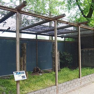 European bee-eater aviary, 2019-05-25