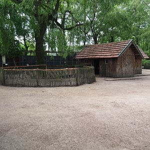 Petting zoo paddock with pygmy goats, chickens and crowned cranes, 2019-05-25