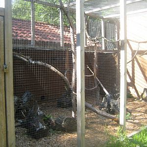 Skærup Zoo - Palm civet exhibit