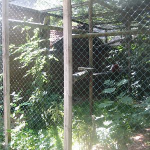 Skærup Zoo - Lemur exhibit