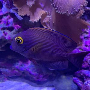 Can somebody Identify please