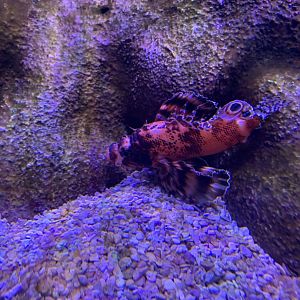 Can somebody Identify please