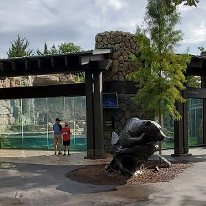 Aug. 2019 - Grizzly Ridge - Left Viewing