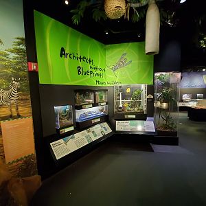 Aug. 2019 - Insectarium - Master Builders Section