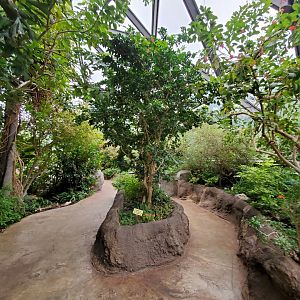 Aug. 2019 - Insectarium - Butterfly Dome