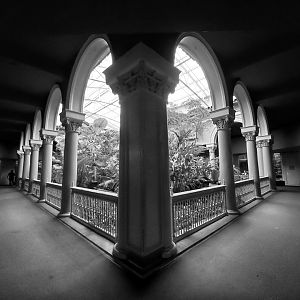 Aug. 2019 - 1925 Primate House