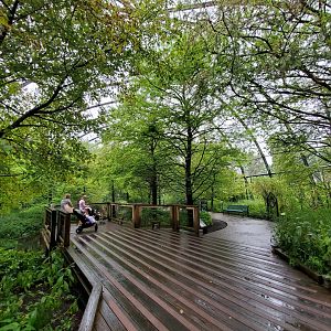 Aug. 2019 - 1904 Cypress Swamp (20+ Species)