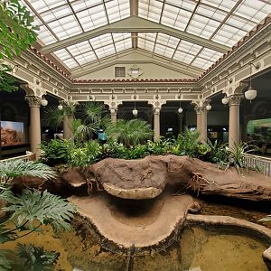Aug. 2019 - 1927 Herpetarium - Center Garden & Narrow-headed Softshell Turtle Exhibit