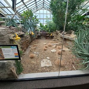 Aug. 2019 - 1927 Herpetarium - Shingleback Skink Exhibit