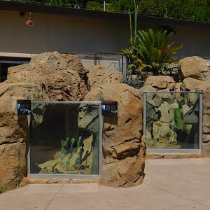 Arroyo Lagarto exhibit