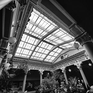 Aug. 2019 - 1927 Herpetarium - Center Garden