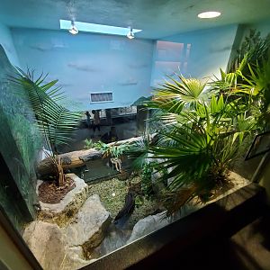 Aug. 2019 - 1927 Herpetarium - Green Anaconda Exhibit (2 Stories - Top Part)