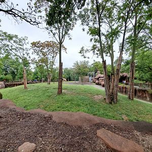 Aug. 2019 - Red Rocks - Hoofstock Yards - Reticulated Giraffe/Gerenuk/Ostrich Exhibit