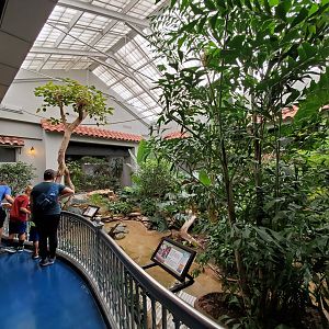 Aug. 2019 - 1930 Bird House - Center Exhibit (5 Species)