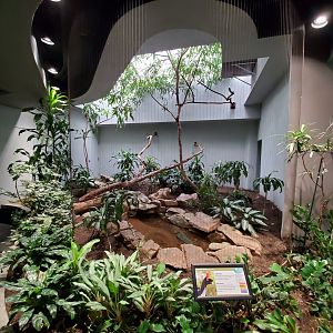 Aug. 2019 - 1930 Bird House - One of Many Horned Guan Exhibits