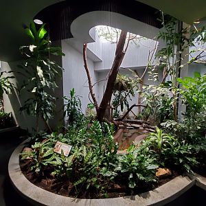 Aug. 2019 - 1930 Bird House - Luzon Bleeding Heart Exhibit