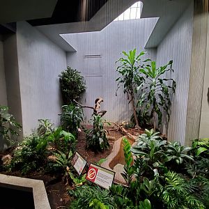 Aug. 2019 - 1930 Bird House - Laughing Kookaburra Exhibit
