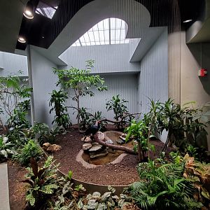 Aug. 2019 - 1930 Bird House - One of Many Horned Guan Exhibits