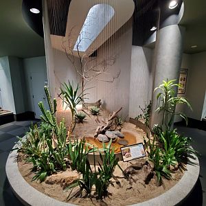 Aug. 2019 - 1930 Bird House - Gopher Tortoise Exhibit