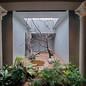 Aug. 2019 - 1930 Bird House - Burrowing Owl Exhibit