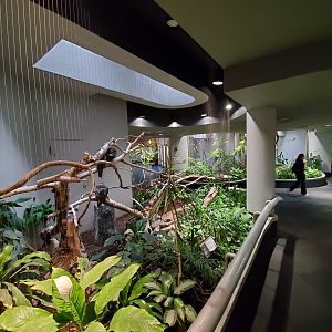 Aug. 2019 - 1930 Bird House - Tawny Frogmouth Exhibit