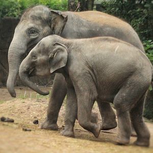 Aug. 2019 - River's Edge - Asia - Priya & Jade