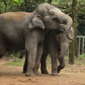 Aug. 2019 - River's Edge - Asia - Jade & Priya