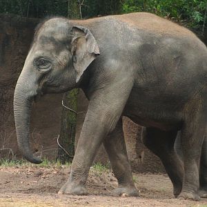 Aug. 2019 - River's Edge - Jade