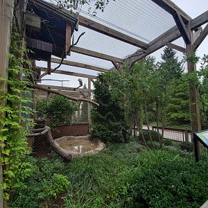 Aug. 2019 - 1930 Bird House - King Vulture/Collie's Jay Exhibit