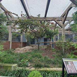Aug. 2019 - 1930 Bird House - Red-legged Seriema Exhibit