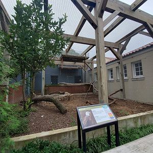 Aug. 2019 - 1930 Bird House - Bald Eagle Exhibit
