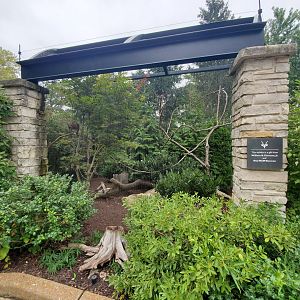 Aug. 2019 - Bird Garden - Cabot's Trogapan Exhibit