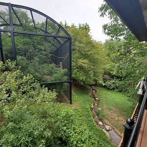 Aug. 2019 - Bird Garden - White-naped Crane + Walkthrough Aviary