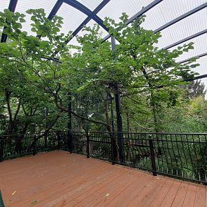Aug. 2019 - Bird Garden - Walkthrough Aviary (5 Species)