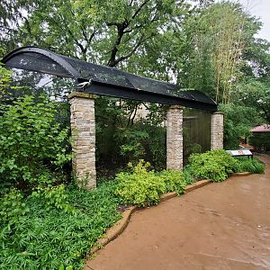 Aug. 2019 - Bird Garden - Laughing Kookaburra Exhibit