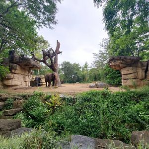 Aug. 2019 - River's Edge - Asia - Third Elephant Exhibit