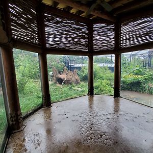 Aug. 2019 - River's Edge - Africa - Painted Dog Preserve