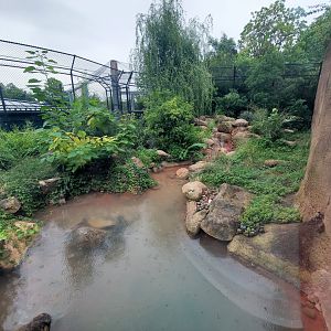 Aug. 2019 - River's Edge - Africa - Painted Dog Preserve