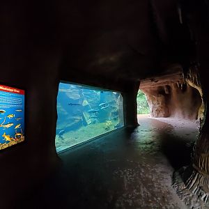 Aug. 2019 - River's Edge - Missouri - Missouri River Tank