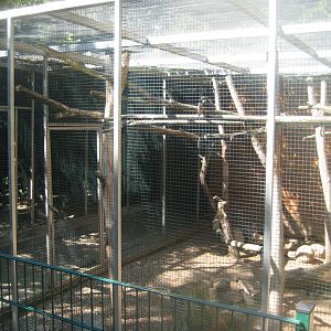 Skærup Zoo - Callithricid exhibit #8