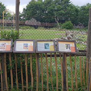 Signs African Savanna